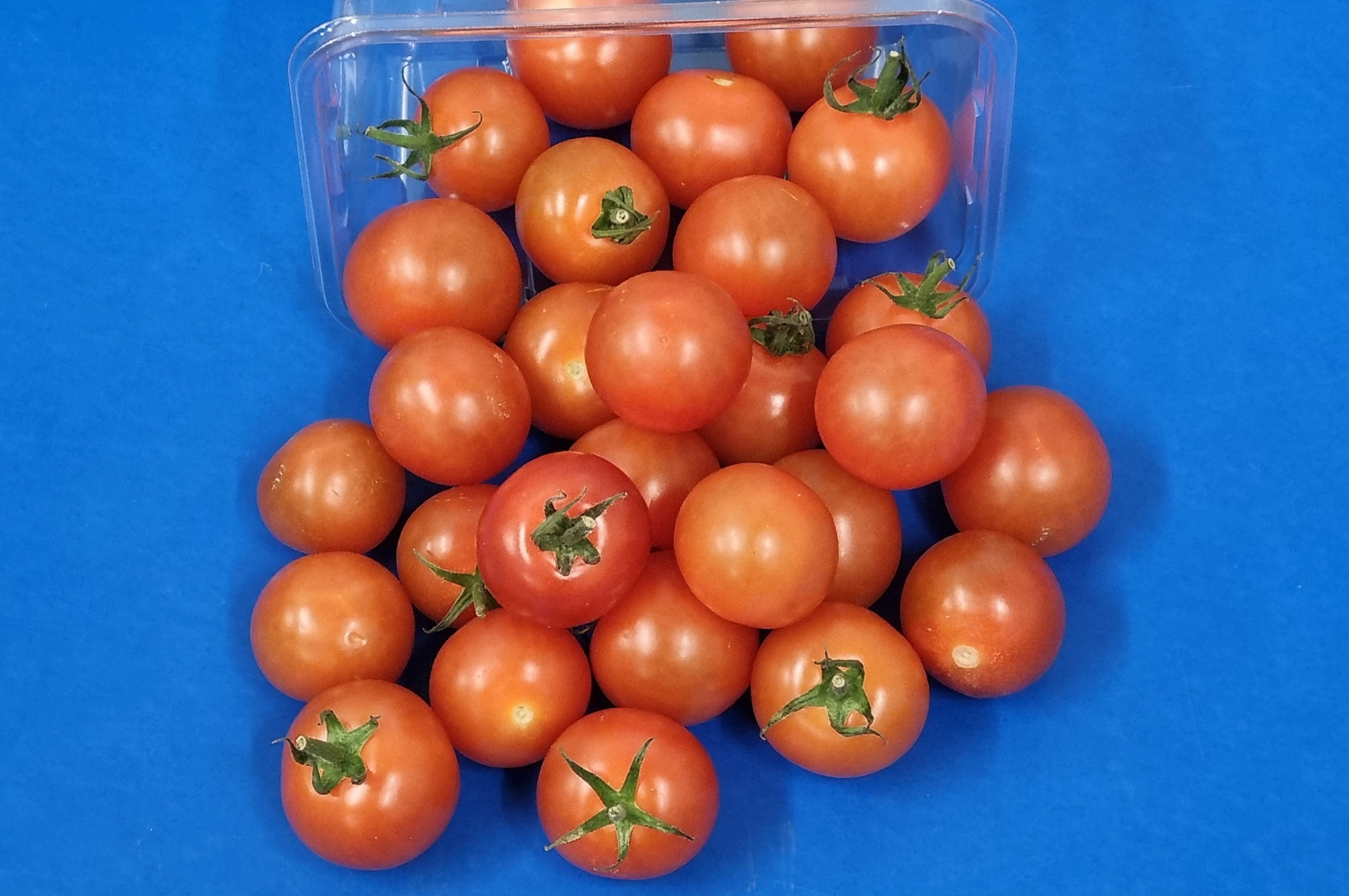Cherry tomaatjes rood 250 gram