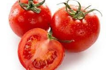 Tomaten A middel Holland per kilo 