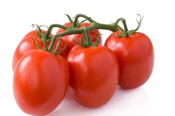 Pommodori tros tomaat Belgie