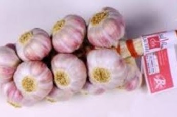 Knoflook rose gedroogd streng 1 kilo Frankrijk