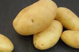 Charlotte aardappelen Nieuwe oogst