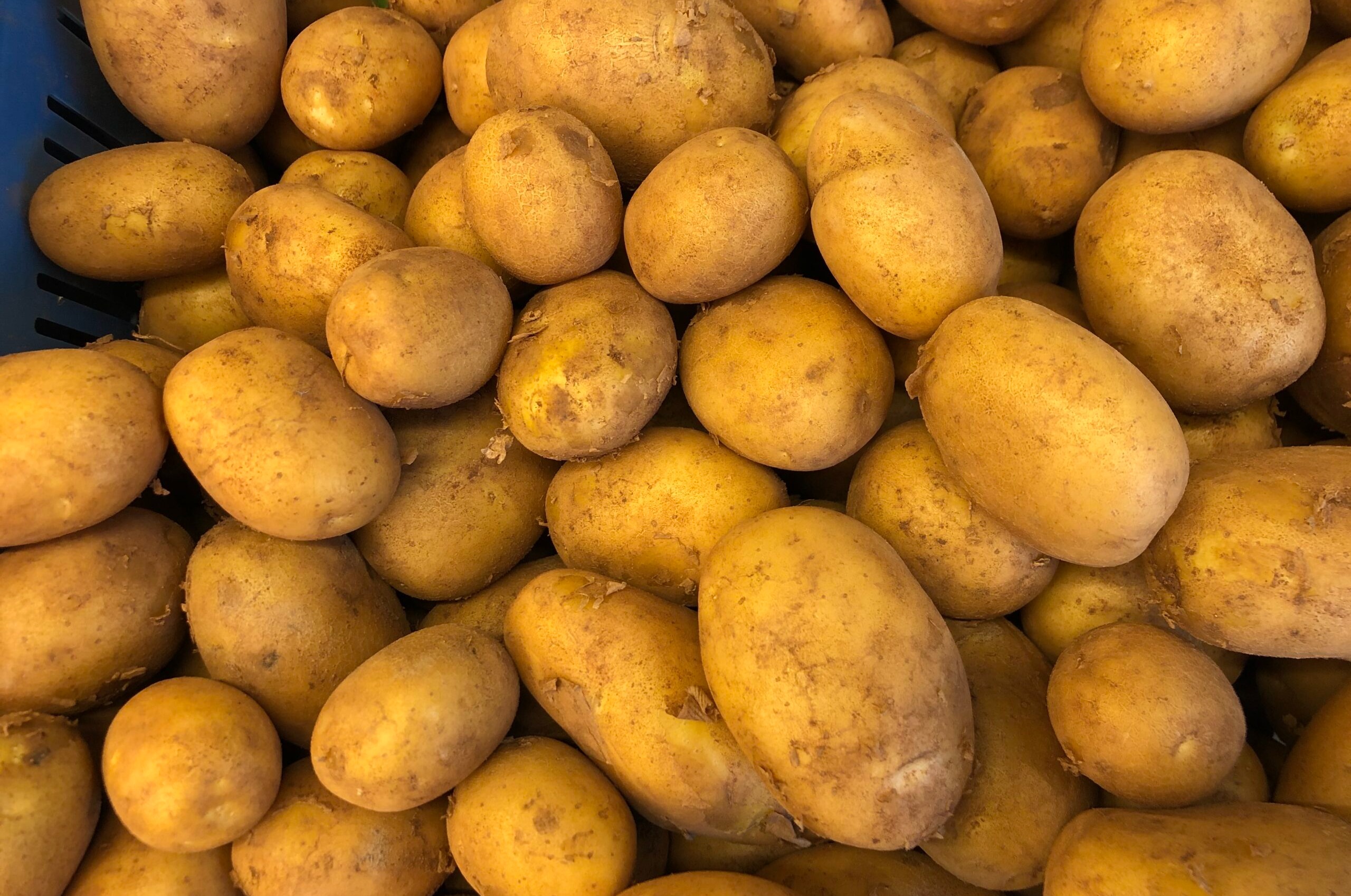 Dore aardappelen nieuwe oogst licht kruimig.