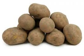 Agria aardappelen grof  ongewassen  bloemig  lokaal product