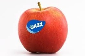 Jazz appels per kilo
