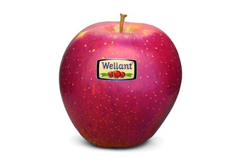 Wellant appels per kilo