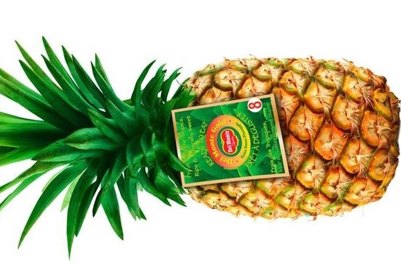 Ananas Visa maat 6