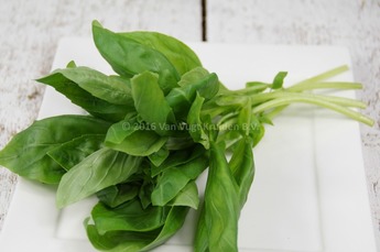 Basilicum groen per bos 75 gram 