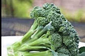 Broccoli  per kist a 6 kilo