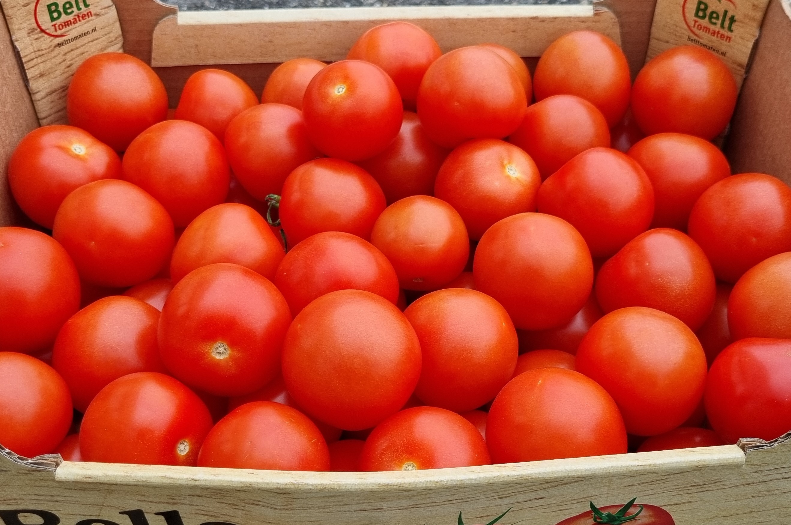 Tomaten import   6 kilo 