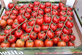 Tros cherry tomaatjes 
3 kilo