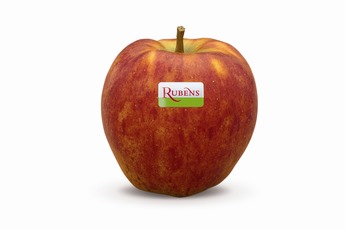 Rubens appelen middel 75-80 per stuk 