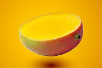 Mango sorbet ijs 2.5 kilo IL Primao  Lokaal product