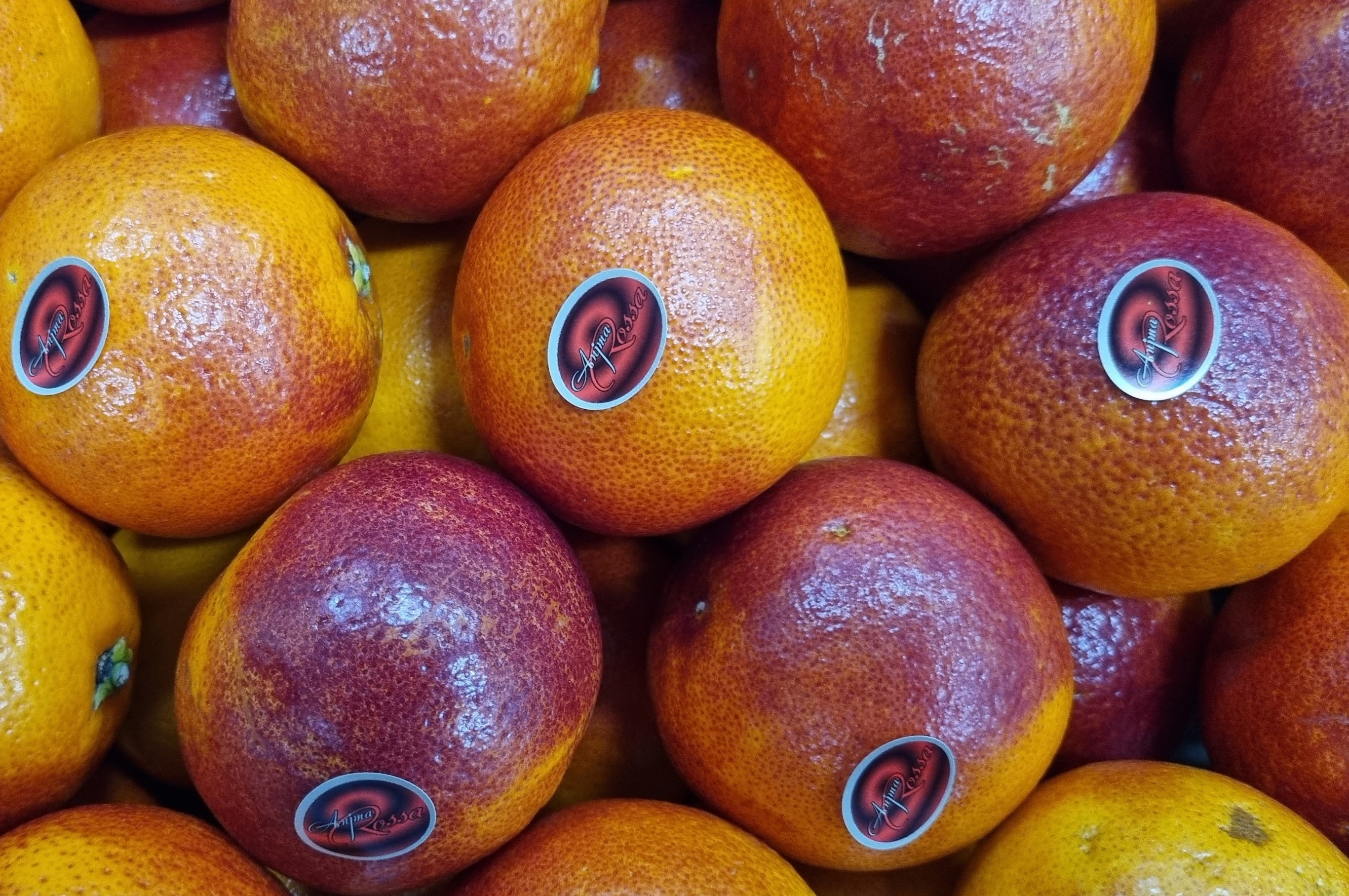 Bloed sinaasappelen per kilo Nu het seizoen